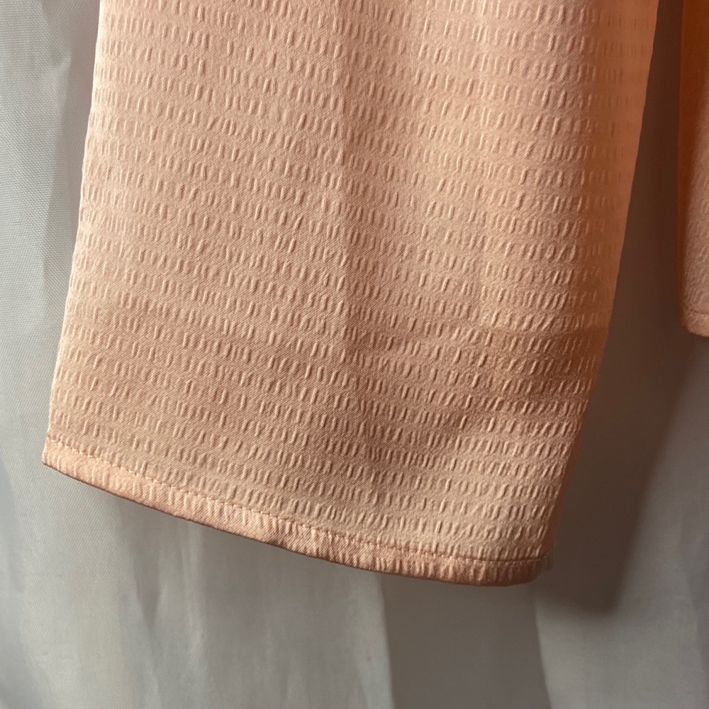 Express Peach Ruffle Blouse - Picture 6 of 6